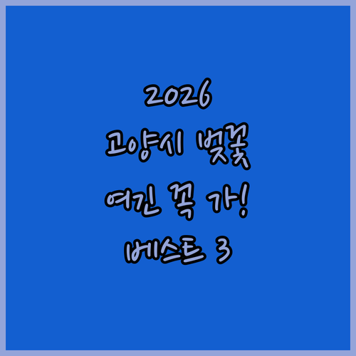 2026 고양시 벚꽃 구경 명소 베스트 3 상세 정보