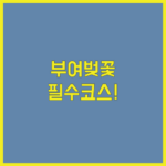 image 2da703f4