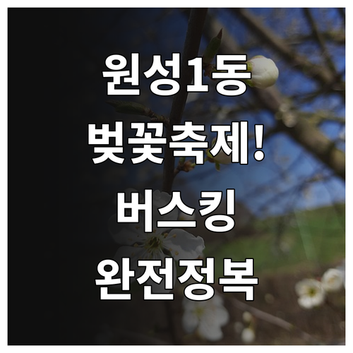 원성1동 벚꽃축제 프로그램 버스킹 공연 및 체험 부스 안내