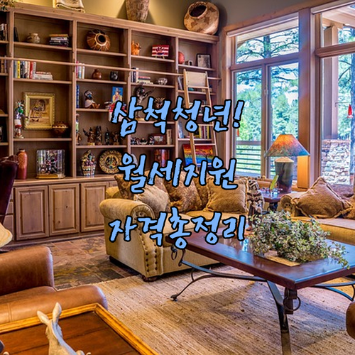 삼척시 거주 무주택 청년 월세 지원금 신청 자격 정리