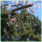 image d9c253f3
