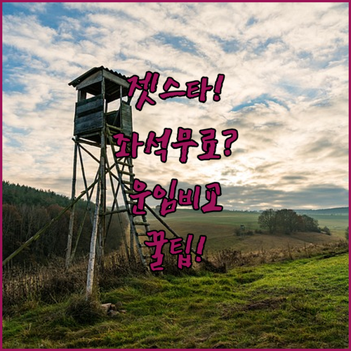 젯스타 좌석 지정 무료로 바꾸는 방법과 운임 유형 비교