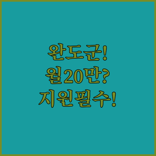 2026년 완도군 청년월세 지원 | 월 20만원 지급일 및 신청 자격