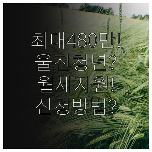 2026 울진군 청년월세지원 총정리 | 최대 480만 원 및 신청 방법