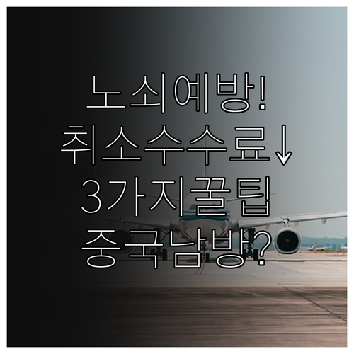 중국남방항공 노쇠 예방과 취소 수수료 아끼는 3가지 방법