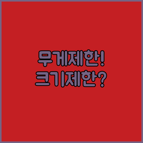 아에로멕시코 위탁수하물 총정리 | 요금제별 무게와 크기 제한