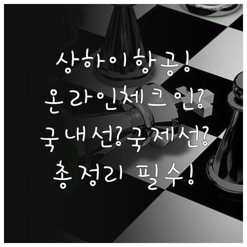 상하이항공 국내선 국제선 온라인 체크인 총정리