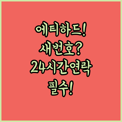 에티하드 항공 한국어 상담 새 번호와 24시간 연락처