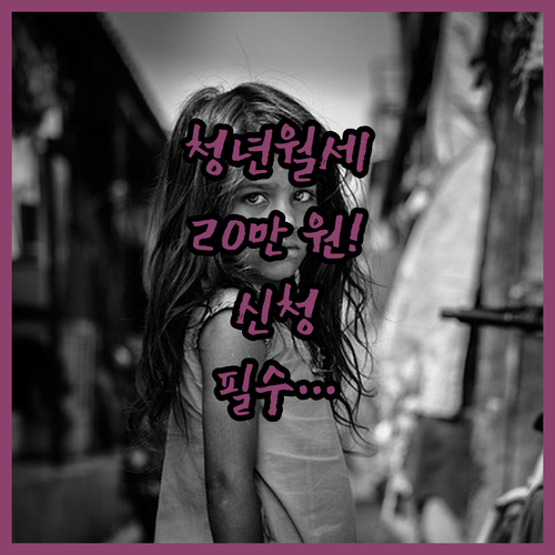 2026년 부여군 청년월세 지원금 월 20만 원 | 신청 조건과 방법