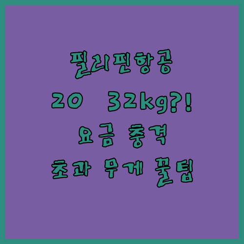 필리핀항공 위탁수하물 20kg에서 32kg까지 요금은