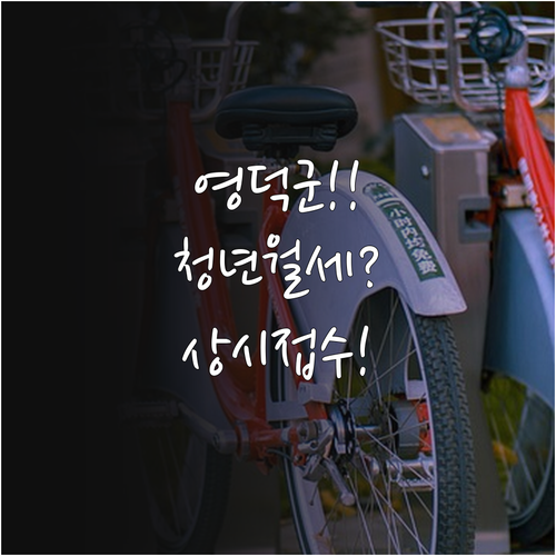 영덕군 청년월세지원 2026년 상시 접수 및 지원 금액