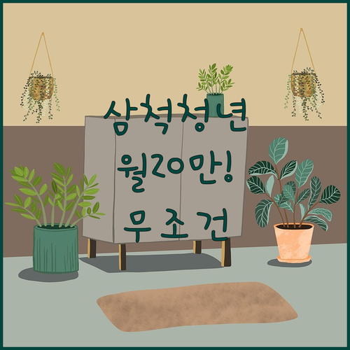 삼척시 청년 월세 지원금 월 20만원 받는 법과 대상 확인