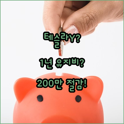 테슬라 모델 Y 1년 실사용 유지비 | 연간 200만 원 절감 가능