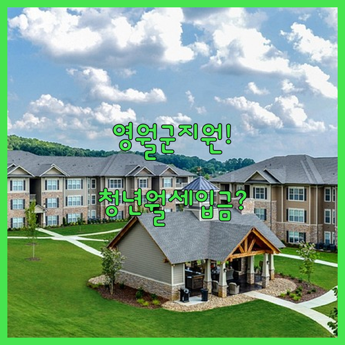 영월군 청년월세지원 2026년 매월 지급일과 집주인 계좌 입금