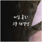 image 97f75745