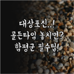 image a376a689