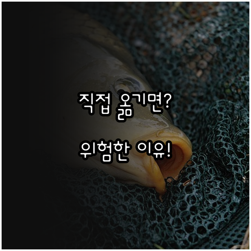 image d322e0e2