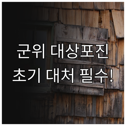 image ddfcf9aa