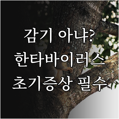 image f00b2c81
