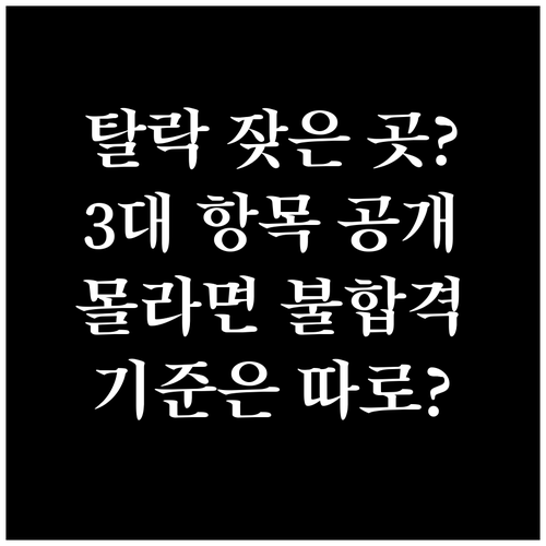 자동차검사 탈락이 잦은 세 항목과 불합격 기준