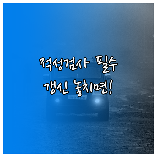 운전면허 갱신 적성검사 대상과 방문 신청 기준