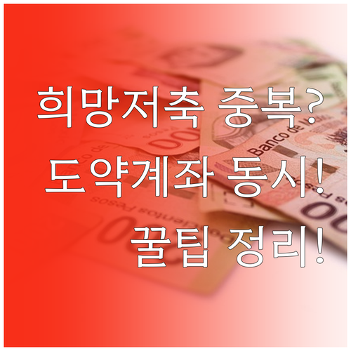 희망저축계좌 중복 가입 가능 여부와 청년도약계좌 동시 가입