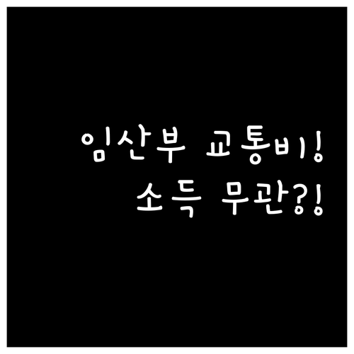 임산부 교통비 지원 소득 기준 없는 이유와 신청 방법