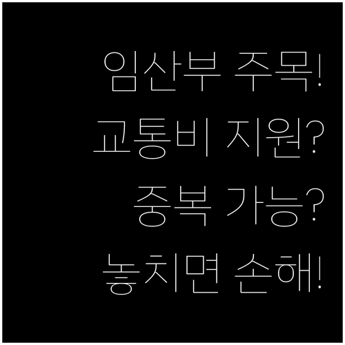 임산부 교통비 지원, 지자체 택시바우처와 중복 가능할까?